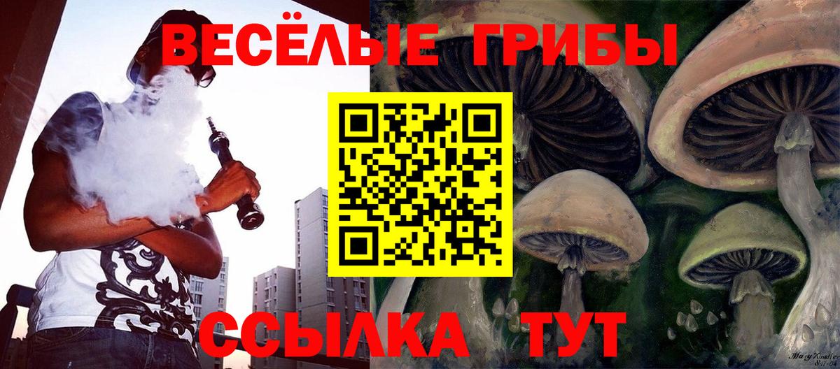 Псилоцибиновые грибы Psilocybe Снежинск
